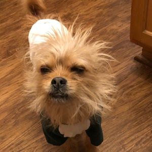 Meet your Posher, Amy